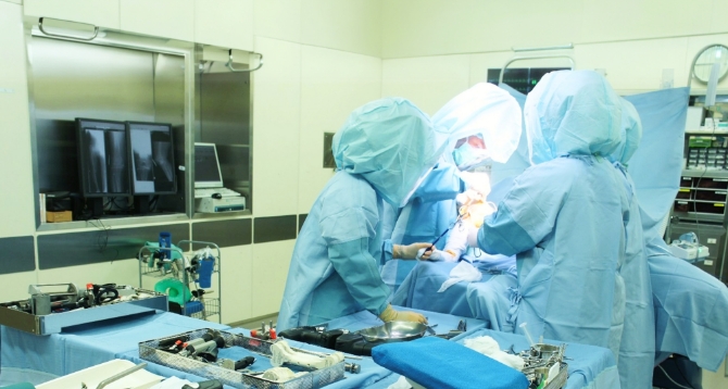 仕事の流れがわかる